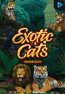 Bocoran RTP Slot exoticcats di SIHOKI