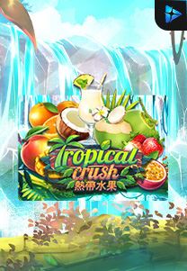 Bocoran RTP Slot Tropical Crush di SIHOKI