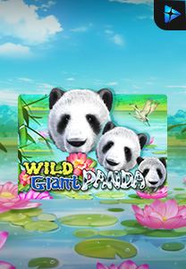 Bocoran RTP Slot Wild Giant Panda di SIHOKI